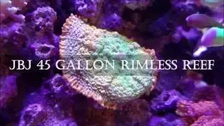SweatyReef Intro