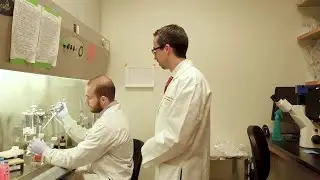 150-year-old drug may find new use in modern cancer treatment