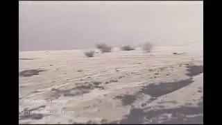 1997, Mortar bison, British Army AS90 SP artillery and machine guns - pure sound