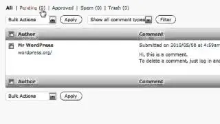 Edit Comments in Wordpress
