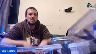 South Western Invert Show 2024 Pickups & Mystery boxes LIVE