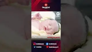 Selamat, Aliya Rajasa dan Ibas Yudhoyono Dikaruniai Anak Keempat #shorts