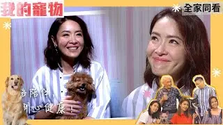 .向海嵐談老狗忍不住泛淚，陪伴是最長情的守護| 我的寵物 | 姚子羚、陳庭欣、崔建邦、鄧卓殷、李家鼎 | TVB 親子節目 | 寵物節目