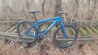 2022 Gravity 27 5 Plus Single Speed Review