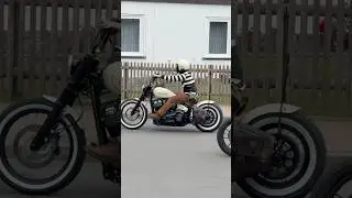 Harley Softail#harley #softail