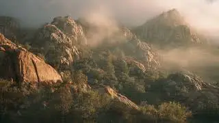 Serene Dawn: Classical Relax Music for Peace & Focus
