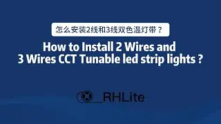 How to Install CCT LED Strip Lights | 2-Wire vs 3-Wire Explained with Real Demo! 💡