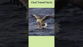 Cool Travel Facts About Paamiut, Greenland #adventure #arctic #greenland #travel #inuitculture