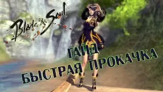 Как быстро прокачатся в  Blade & Soul PlayBNS Classik