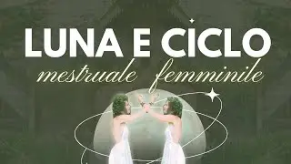 Il CICLO MESTRUALE e la LUNA, come il ciclo femminile è connesso con il ciclo lunare 🌹🫶🏼🩸