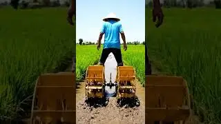 Walking on Mud Like This Should Be Impossible