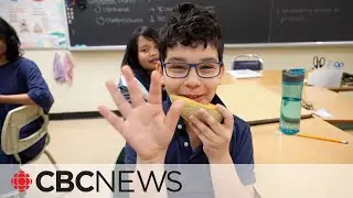 A look at a Toronto school food program as feds announce $1B plan