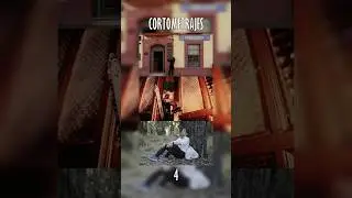 Recomendando CORTOMETRAJES #shortvideo #shorts #shortfilm #recommended #recomendaciones #short
