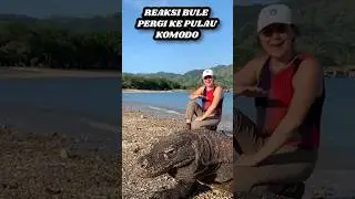 REAKSI BULE PERGI KE PULAU KOMODO PERTAMA KALINYA DI INDONESIA