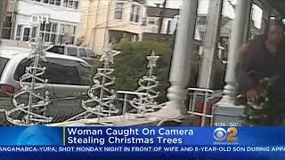 Woman Caught On Camera Stealing Christmas Trees  #redpill #mgtow