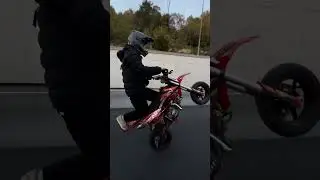 БОЛЬШЕ ДВИЖА В ТГ КАНАЛЕ: TemaMishin #music #stuntvideo #kayo #стант #bikelife #motocross #мотокросс