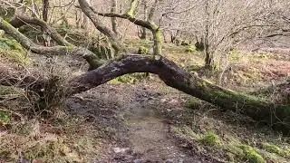 The Drovers to Doune Byre Bothy 16 1 23