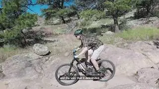 SQWEEB Trail 29er