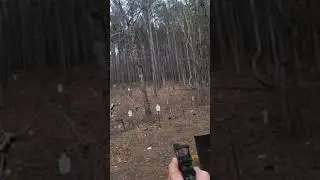 Staccato P Limited  accuracy 15-50 yards #gun #shooting #practicalshooting #pistol #9mm