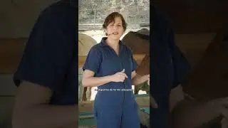 Fisiologia Veterin&aacute;ria Sistem&aacute;tica: Sistema Digest&oacute;rio