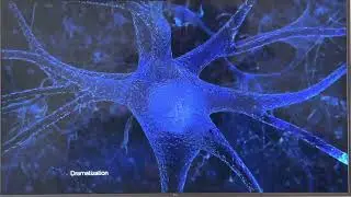 Prevagen Commercial (February 2023)
