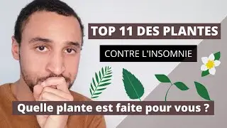 LES 10 MEILLEURES PLANTES POUR MIEUX DORMIR