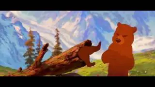 O p&eacute; na Estrada eu Vou Botar- Irm&atilde;o Urso