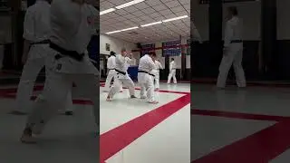 Yoseikan Jujutsu