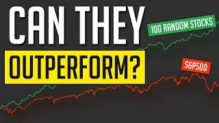 Can 100 Random Stocks Outperform The Stock Market?
