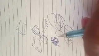 Pilot test