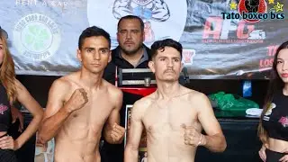 Jassiel FLACHITO Amador Vs Jose ALACRAN Corona nocaut fulminante peso Super Mosca