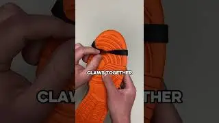 I Wore the Orange Lobster Dunks🦞