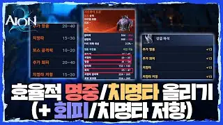 [아이온2] 잘못된 세팅? 효율적인 명중/치명타 올리기 (+회피/치명타 저항)