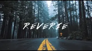 Reverie