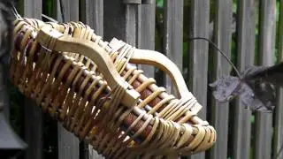 Specht en gaaien in `notenbar`