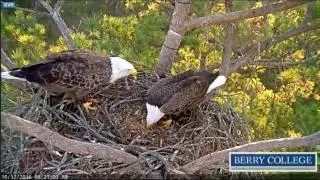 Berry College Eagles - Food Gift - 10/12/2016