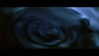 Beethoven's Moonlight Sonata 3rd Movement - SmokinHot