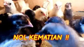 CARA MERAWAT DOC DI HARI PERTAMA
