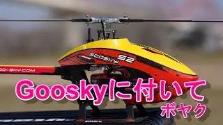 ラジコンヘリ　GOOSKY S2の国内販売体系をボヤキながら飛ばしてみた。　20230219