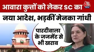 Stray Dogs: Supreme Court के नए आदेश पर Maneka Gandhi का बयान, जताया विरोध