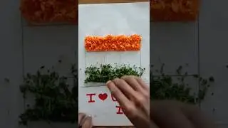 INDIA 🇮🇳 Flag Making( gopus art and craft) use Flowers #youtube #flag #youtubeshorts #india #shorts