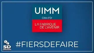 SD SERVICES : une mise en lumi&egrave;re par l'UIMM