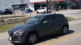 Lizzardo Giganticus is live! Tesla Musk protest in Austin continued