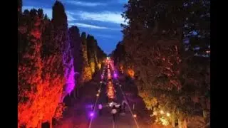 Bolgheri, quando il vino diventa il “medium” per raccontare al mondo la bellezza italiana.