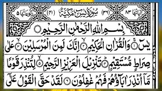 Surah Yasin | Surah Rahman (HD) |🌿 Full Tilawat  | Daily Morning | Alqama Naziri Official