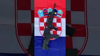 Springfield Hellion VHS-2