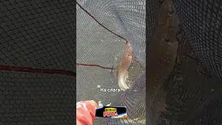 Удмурты закрываются &laquo;на слага&raquo;, прямо на глазах соперников!😎Бонус от наших друзей➡️ vk.cc/cRGzj6