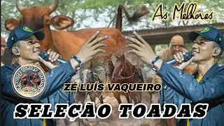 Zé Luís Vaqueiro Seleção Toadas as Melhores