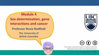 4H - Gene interactions in biochemical pathways - II, part 3