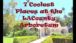 The Seven Coolest Places at the L.A. County Arboretum and Botanic Garden